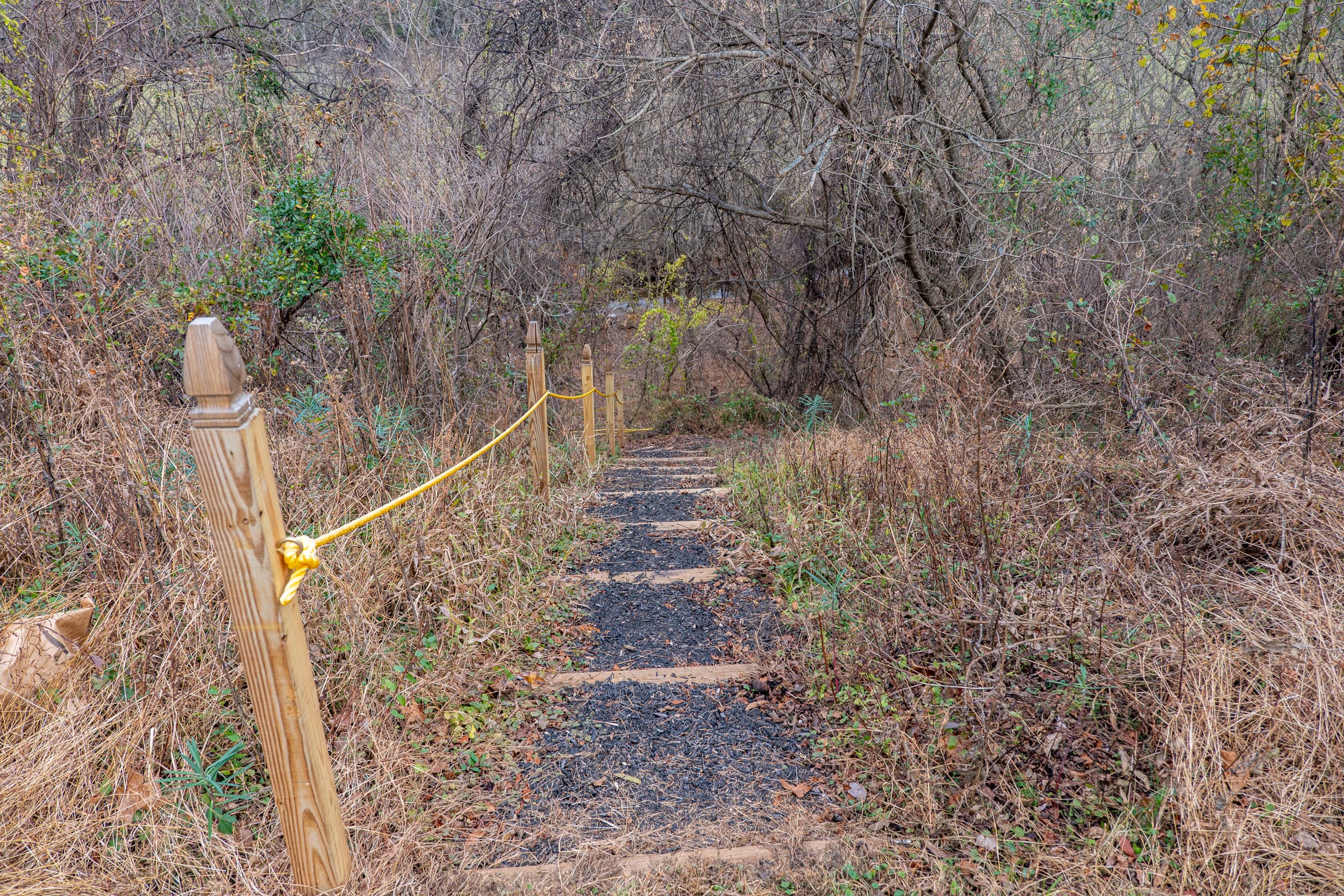 Wooded path to the creek