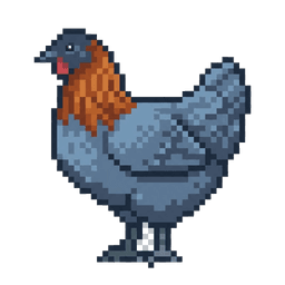 Blue Copper Marans illustration